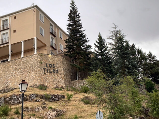 Hotel Los Tilos