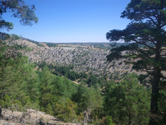 El Vallecillo – Zafrilla