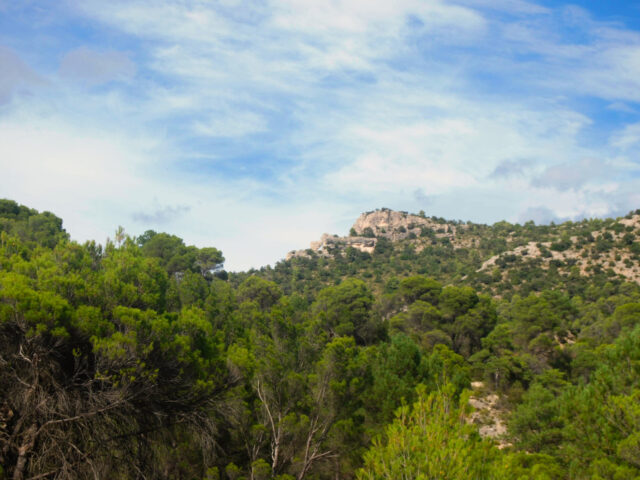 Vistas Armallones