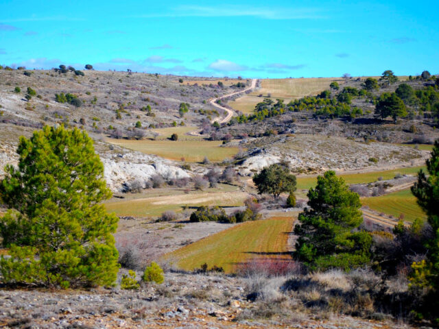 Entorno Villanueva de Alcorón
