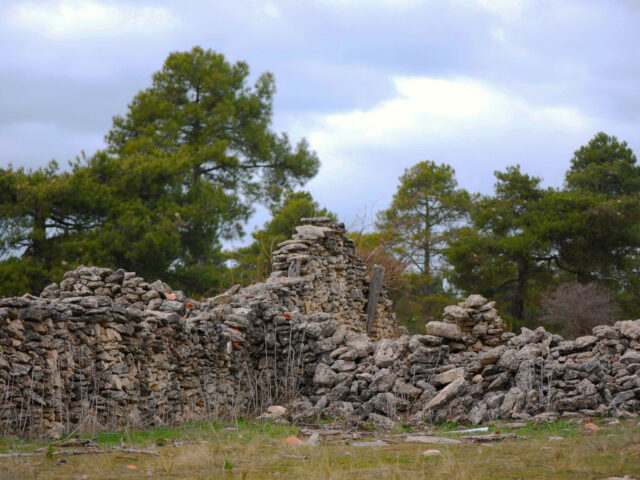 Paridera Villanueva de Alcorón