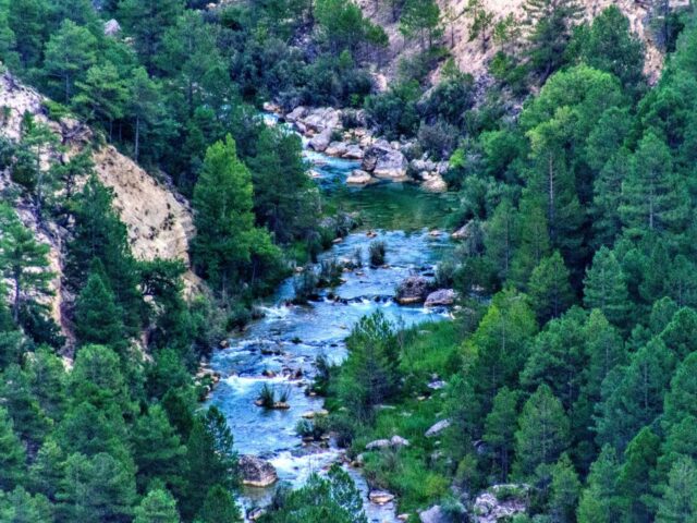 Río Tajo