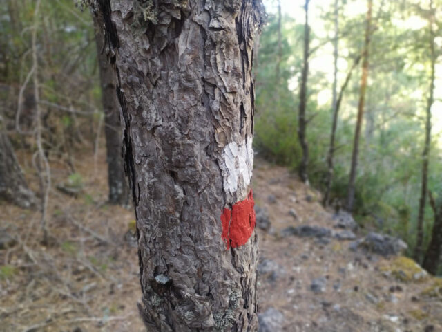 Barranco del Horcajo
