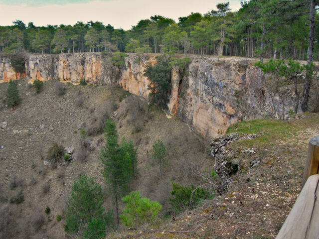 Torca