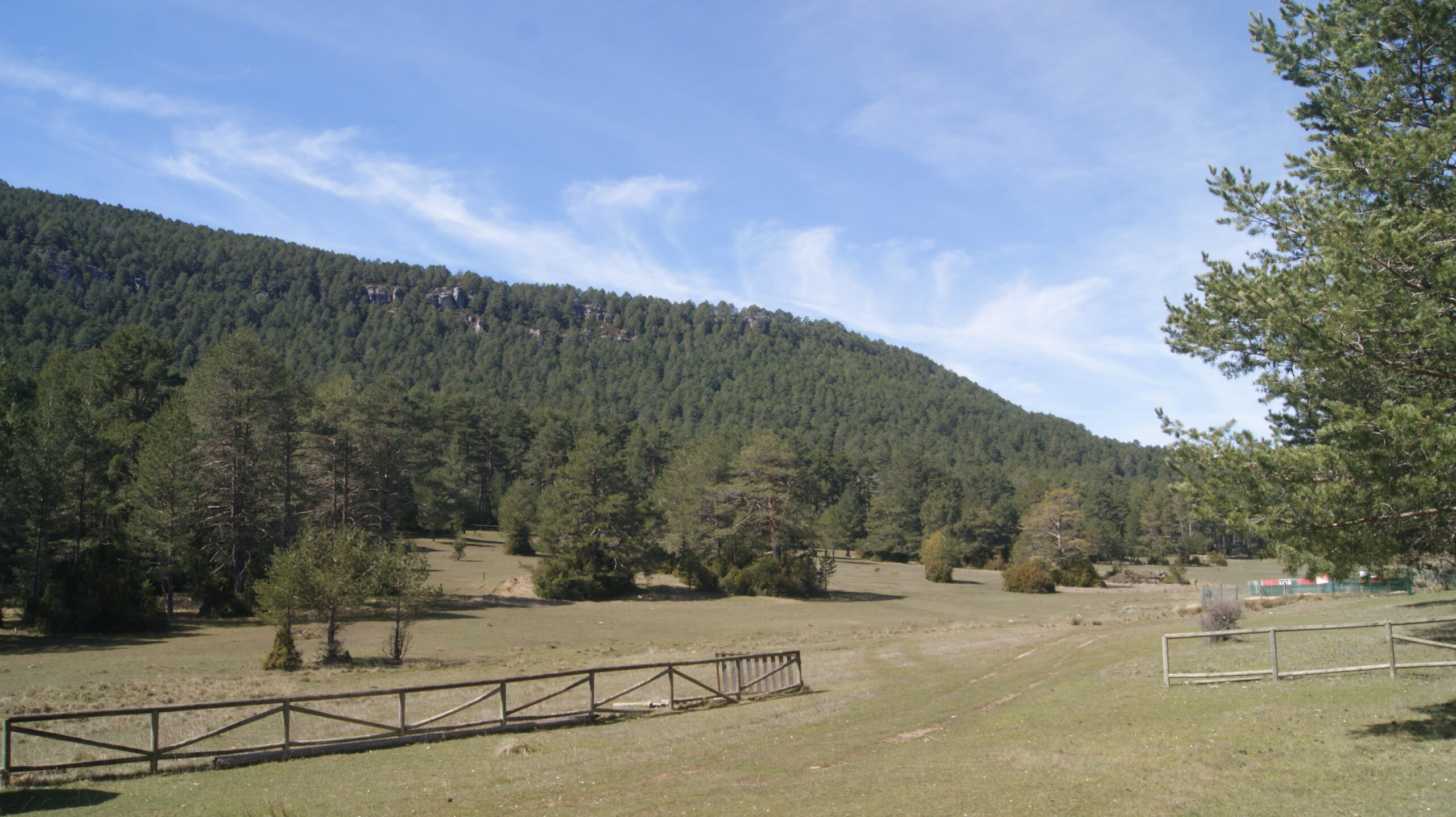 Rodal de reserva forestal de El Vasallo