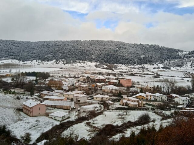 Rodal de reserva forestal de Vega del Codorno