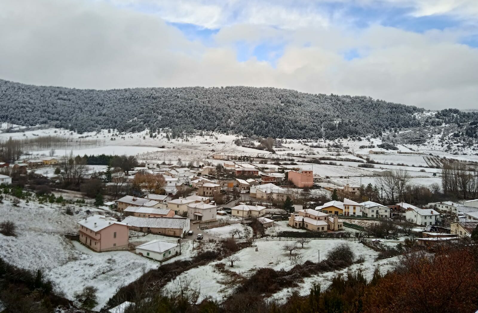 Rodal de reserva forestal de Vega del Codorno
